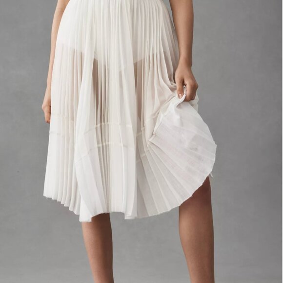 Anthropologie Sheer Pleated A-Line Skirt - Picture 4 of 16
